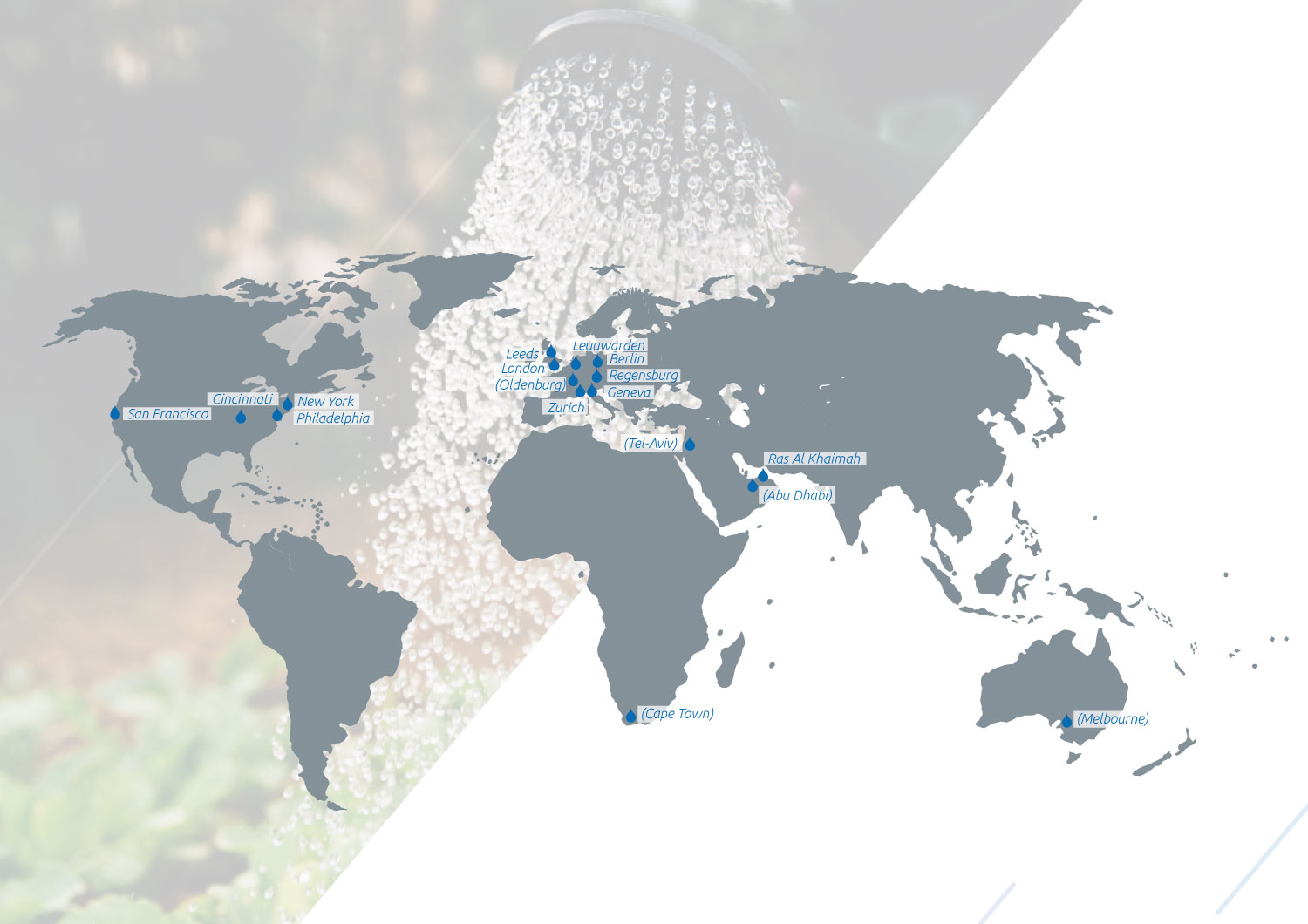Global Network Presence